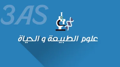 مطوية كليك منهجية الاجابة على اسئلة البكالوريا